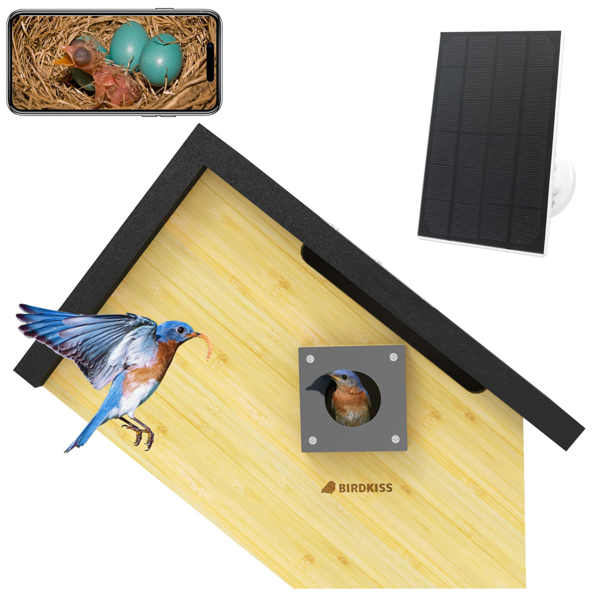 Birdkiss Smart Bird Houses for Outside Solar Powered, 1080P HD Live View Birdhouse with Camera, Perfect Viewing Bird Nesting and Hatching, Ideal Outdoors Bird House for Blue Bird and Cardinal (Black) Birdkiss