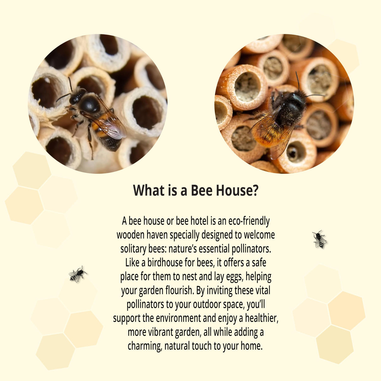 Wooden Bee House and Bee Hotel for Your Garden or Orchard, Attracts Pollinators: Mason Bee and Leafcutting Bees Vollenkor