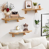 omedecal Wooden Floating Shelves for Wall, 15.7" W x 6" D x 0.6" H Large Wall Shelves, Hanging Storage Shelf with Hooks for Living Room, Kitchen, Bathroom, Bedroom Decor, Natural, 3 Packs omedecal