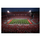 IREDLII Adult Diamond Painting Kit, College Ball Field 5D Diamond Art Kit for Beginners DIY Full Diamond Diamond Dots Crystal Craft Kit for Home Wall Decor Gifts 16x20 inches IREDLII