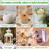 AHSNYLC Nature Soy Wax Flakes - DIY Pure Candle Making Soy Wax,Soy Wax Bulk, DIY Soy Candle Wax,Candle Making Soy Wax for Container Candles,Cup Wax,DIY Candle (420, Grams) AHSNYLC