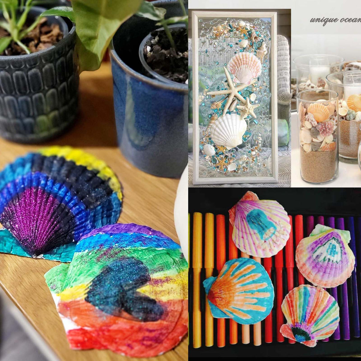 Allazone 58 PCS Shell Painting Kit, Art and Craft Kits, DIY Painting Crafts Set Included Sea Shell, Brushes, Stickers, Eyes, Glitter Glue for Activities DIY or Home Decor Allazone