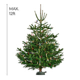 Krinner Christmas Tree X-12 Deluxe - Green Tree Stand - Original Single Cable Operation, Holds up to 12 ft Live Trees - Foot Pedal Setup & Water Reservoir with Level Indicator - German Made Krinner