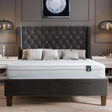 Aylas Furniture King Size Mattress- 8 Inch Hybrid King Mattress with High Density & Comfort Cold Foam with Continuous Coil Bonnell Springs - Eco-Friendly, Breathable King Bed Mattress Medium Firmness Aylas Furniture