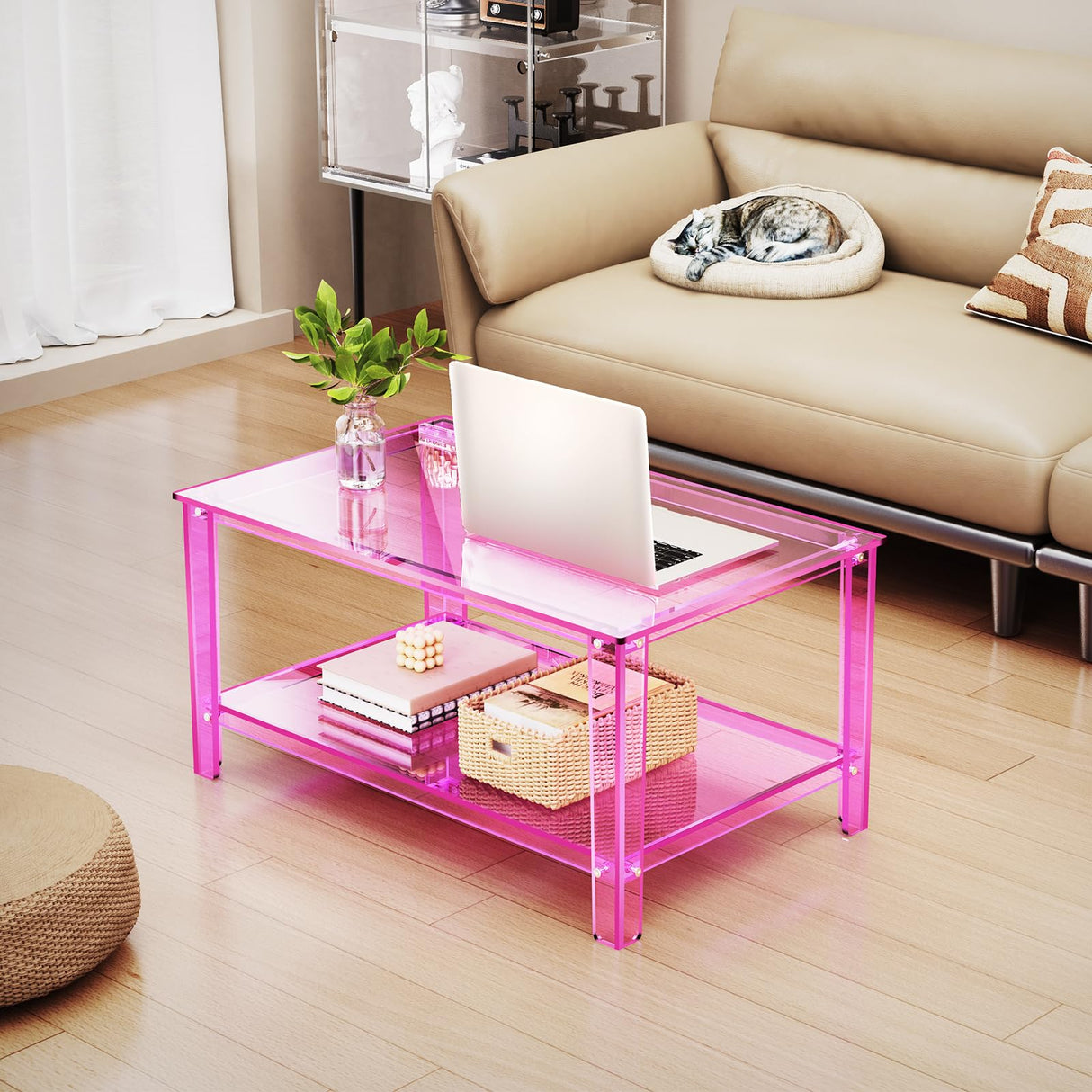 solaround Acrylic Coffee Table with Storage Shelf,Rectangle Living Room 2-Tier Center Table for Small Spaces (Rectangle, Pink, Nomal) solaround
