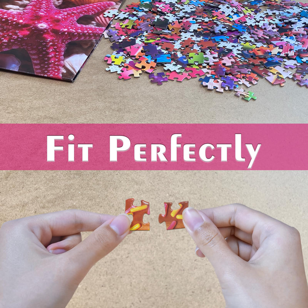 HUADADA Jigsaw Puzzles for Adults 1000 Pieces, Beach Shells Interlock Perfectly Letter on Back No Dust, Home Decor Birthday Party Toy for Men Women Elders Seniors (27.5"x19.6"), 1:1 Poster HUADADA