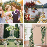 Adorox 7.8ft Garden Arch Trellis for Climbing Plants, Metal Arch Frame, Pumpkin Archway Outdoor Garden Arbors and Arches for Halloween Christmas Birthday Party Baby Shower Decoration(Black) Adorox
