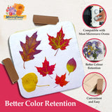 Microfleur Microwave Flower Art Press Kit for Kids and Adults - DIY with Washable Absorbent Cloth, Ideal for Plant Lovers 5" (13 cm) Microfleur