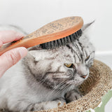 Menesia Pet Soft Brush with Wood Handle and Boar Bristle Hair - Soft Cat and Dog Grooming Brush for Short Hair Cats and Small Dogs - Gentle Massage and Dandruff Removal (Cat) menesia