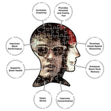 AQUARIUS Lost Boys 500pc Puzzle (500 Piece Jigsaw Puzzle) - Glare Free - Precision Fit - Officially Licensed Lost Boys Movie 500pc Puzzle Movie Merchandise & Collectibles - 14x19 Inches AQUARIUS