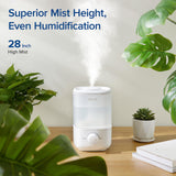 LEVOIT Top Fill Humidifiers for Bedroom, 2.5L Tank for Large Room, Easy to Fill & Clean, 28dB Quiet Cool Mist Air Humidifier for Home Baby Nursery & Plants, Auto Shut-off and BPA-Free for Safety, 25H LEVOIT