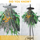 123 Pcs Mixed Real Dried Eucalyptus Stems - Lavender & Rose Flowers Bundles for Shower, Natural Preserved Eucalyptus Leaves Greenery Hanging Shower, Plant Fragrance, Wedding Decor beerfingo