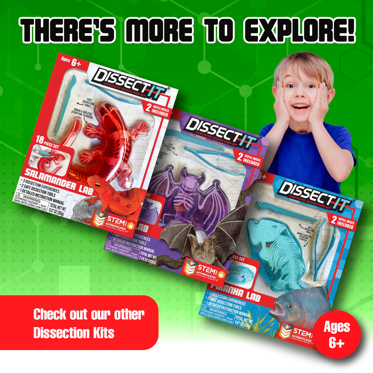 Dissect-It Simulated Synthetic Lab Dissection Toy, STEM Projects for Kids Ages 6 and Up, Animal Science, Biology, Anatomy Home Learning Kit, Great for Young Scientists! – Frog Dissect It