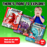 Dissect-It Simulated Synthetic Lab Dissection Toy, STEM Projects for Kids Ages 6 and Up, Animal Science, Biology, Anatomy Home Learning Kit, Great for Young Scientists! – Frog Dissect It