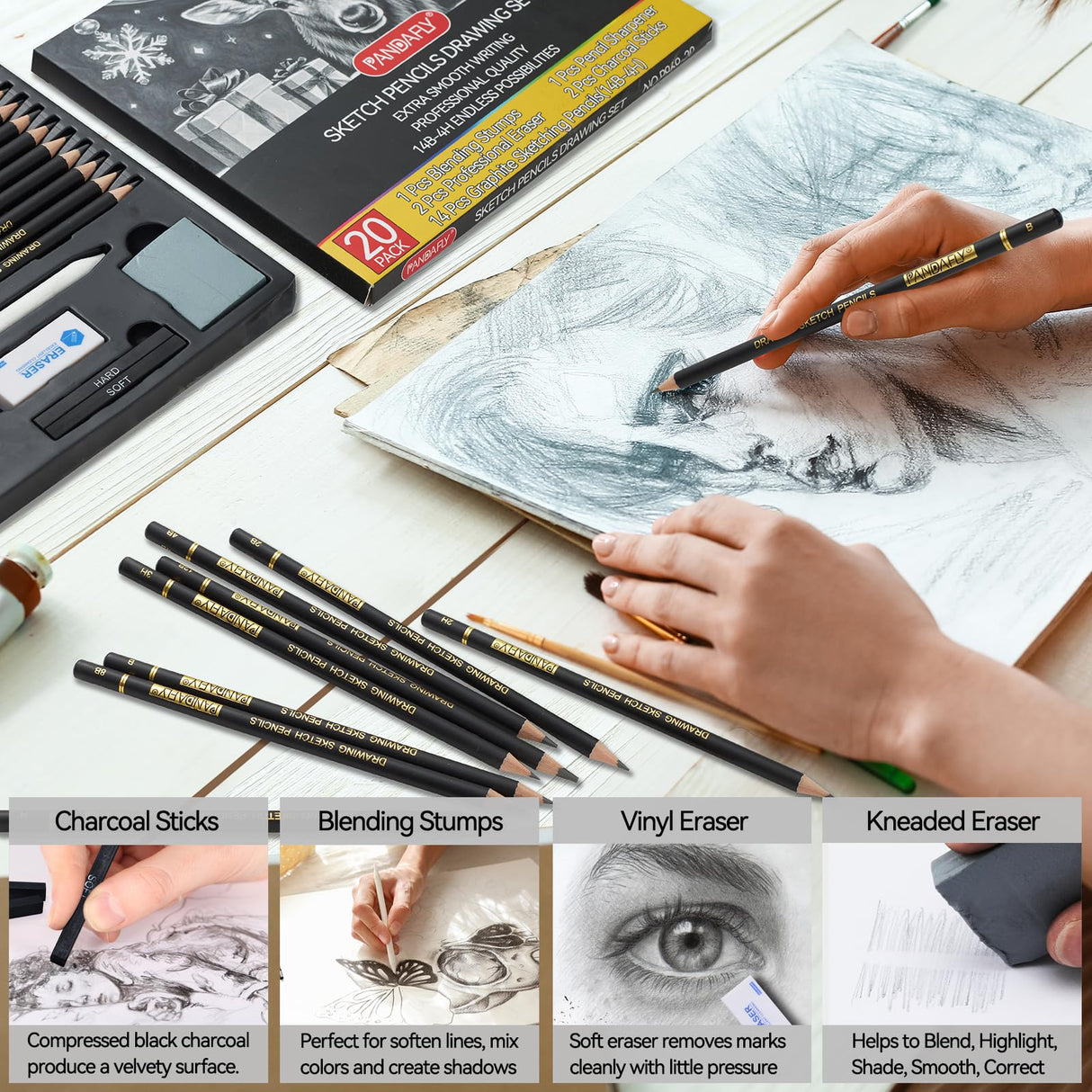 PANDAFLY 20-Piece Professional Sketch Pencil Set - Includes 4H to 14B Graphite Pencils, Charcoal Sticks, Vinyl Eraser, Kneaded Eraser, Sharpener, Blending Stump - Ideal for Artists and Beginners PANDAFLY