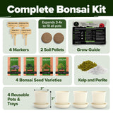 Bonsai Tree Kit - Gifts for Men & Women - Grow 4 Bonsai Trees - Unique Gardening Crafts for Adults, DIY Hobbies for Plant Lovers & Gardeners - Unusual Christmas Gift Ideas for Mom & Dad HOME GROWN