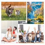 GGSTDDUP 30 PCS Metal Sublimation Photo Blank, 8 x 10 Inch Aluminum Photo Sign Sublimation Poster Art Aluminum Plate for DIY Crafting Gifts (8x10 Inch) GGSTDDUP