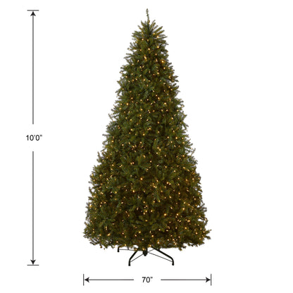 National Tree Company Pre-Lit Artificial Full Christmas Tree, Green, Dunhill Fir, Dual Color LED Lights, Includes Stand, 10 Ft