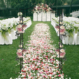 VINGLI Garden Arbor, Arch for Wedding Ceremony Party, Christmas Garden Decor Steel Garden Trellis for Plant Climbing, Pergola for Garden, Backyard, Lawn (Bridge Top) VINGLI