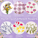 Suziko Large Flower Press Kit 10.8 x 6.9 inch for Adults Kids, Flower and Plant Preservation Kit, Arts and Crafts for Adults Leaf Press, Great Gift for Lovers Suziko