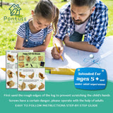 DIY Birdhouse Kit with Paint Set - Kids' Wood Craft Kits - Make a Bird House Kit for Kids - DIY Woodcraft Building Projects for Kids and Adults- STEM Teaching Tools Pontuss