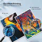 LC401XL Ink Cartridges for Brother Printer Compatible LC401 Ink Replacement for Brother LC401 Ink Cartridges LC401XL High Yield to use with Brother MFC-J1010DW MFC-J1012DW MFC-J1170DW (4 Pack, XL) RGiNK