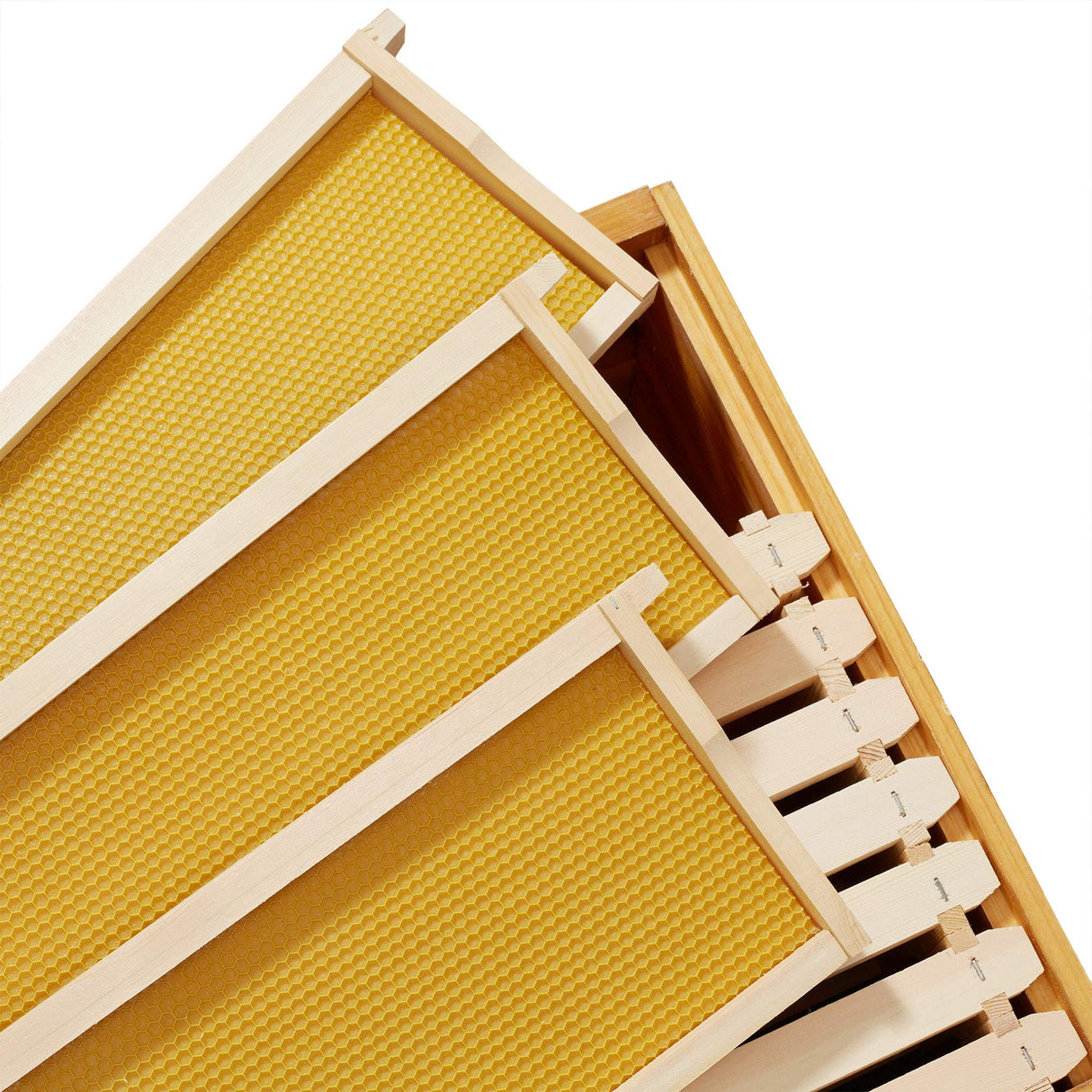 Honey Keeper 10 Assembled Beehive Frames with Waxed Natural Foundations for Beekeeping, 6-1/4 inch Honey Keeper