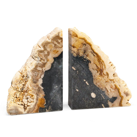 KALIFANO Petrified Wood Bookends Set - Real Natural Fossilized Wood Book End - Unique Stone & Crystal Home Decor (Family Owned & Operated) KALIFANO