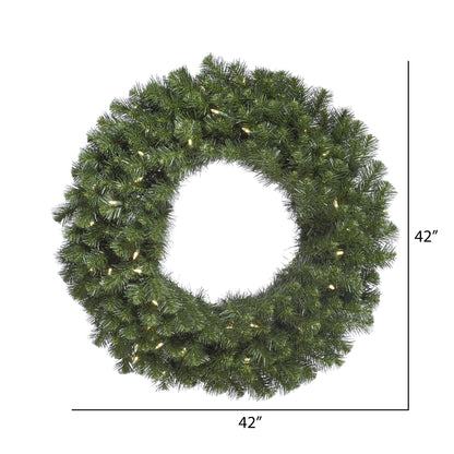 Vickerman Pre-Lit Douglas Fir Wreath with 100 Warm White Italian LED Lights, 42-Inch, Green, A808842LED