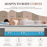 CH CHARME HOUSE Twin XL Mattress, 14 Inch Twin XL Size Hybrid Mattress in a Box, Medium Feel Foam and Individual Pocket Springs, Extra Edge Support, Pressure Relief, CertiPUR-US CH CHARME HOUSE