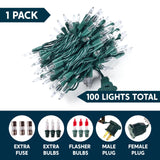 Joiedomi Clear Christmas Lights Outdoor, 100 Count 21.5FT Christmas Tree Lights Indoor, Warm White String Lights, Green Wire Xmas Lights Decorations for Holiday Event Wedding Party Decor Joiedomi