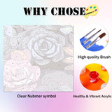 Ycydilirab Succulent Paint by Numbers Kits for Adults Beginners-Succulent Plant Paint by Number for Adult,Easy Canvas Paint by Numbers for Adults for Home Wall Decoration and Gifts 16X20 inch Ycydilirab