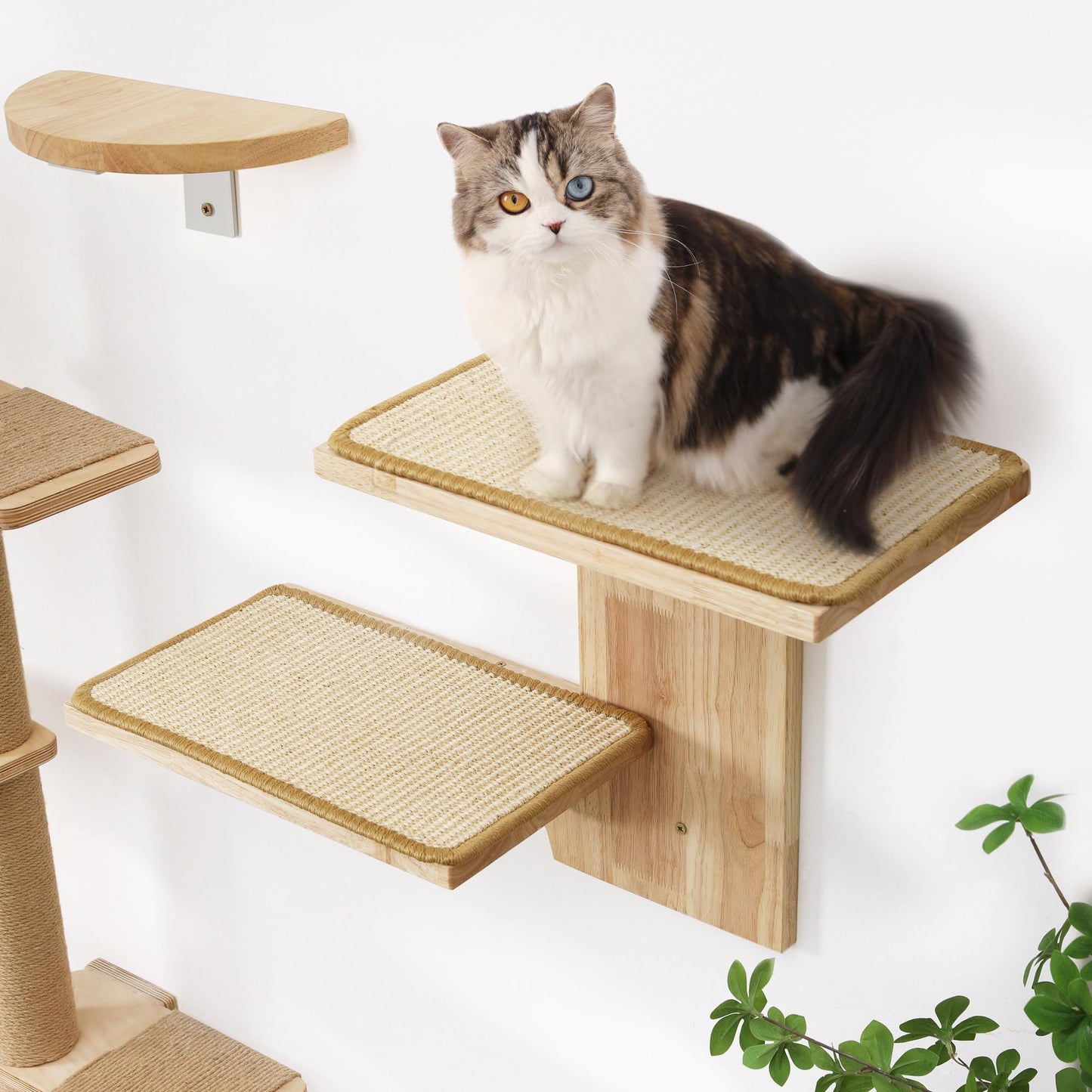 FUKUMARU Cat Wall Shelves, 2 Platform Cat Wall Furniture, Tree Shape Wall-Mounted Cat Floating Shelf with Sisal Mat, Solid Rubber Wood Cat Perch for 16 Inch Drywall, Suitable for Climb, Play, - WoodArtSupply