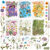 179Pcs Dried Pressed Flowers Real Pressed Flowers Natural Dry Leaves Bulk Mixed Colorful Herbs Kit with Tweezers for Scrapbooking DIY Candle Jewelry Crafts Making (Delicate Color) Gvhntk