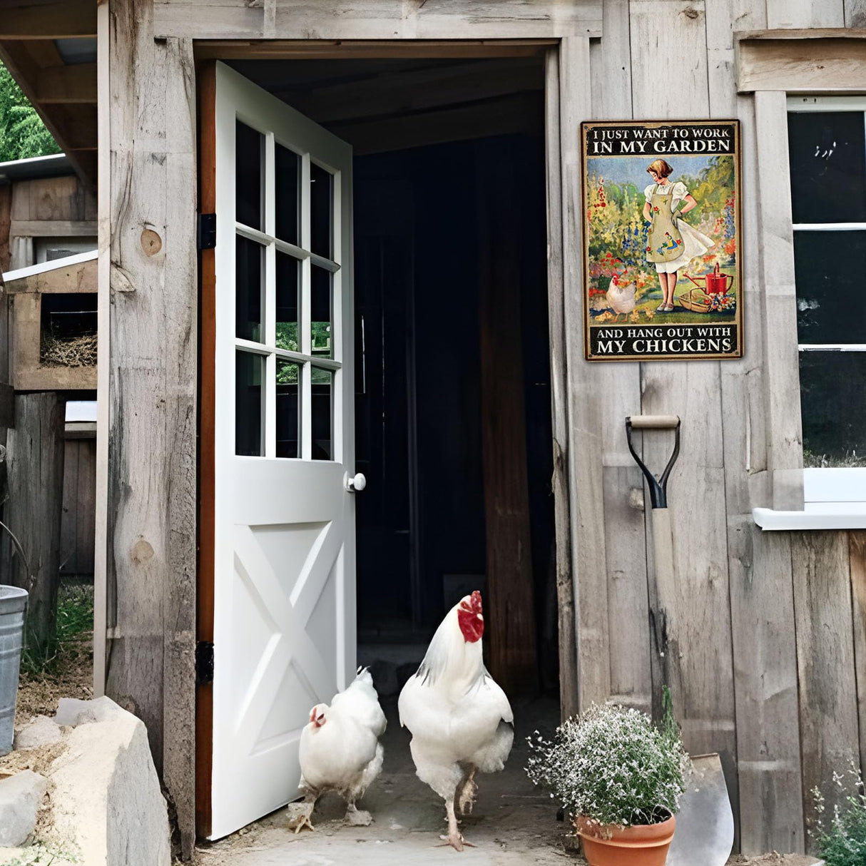 CrazySign Funny Chicken Sign Chicken Coop Sign Wall Decor I Just Want To Work In My Garden Outdoor And Hang Out With My Chickens ，8" x 12" (276) CrazySign