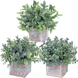 Winlyn Set of 3 Small Potted Plants Artificial Eucalyptus in Wood Box Faux Eucalyptus in Pots Desk Plants Greenery Centerpiece Table Decorations for Farmhouse Kitchen Windowsill Shelf Entryway Decor Winlyn