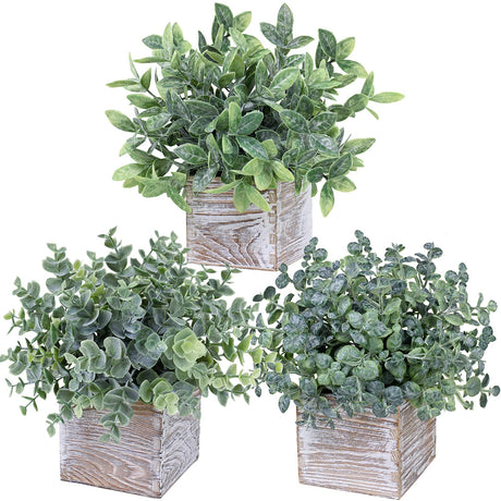 Winlyn Set of 3 Small Potted Plants Artificial Eucalyptus in Wood Box Faux Eucalyptus in Pots Desk Plants Greenery Centerpiece Table Decorations for Farmhouse Kitchen Windowsill Shelf Entryway Decor Winlyn