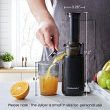 Elite Gourmet Masticating Juicer Machines, 12-inch Juicer, Masticating Cold Press Juicer Machines, Juicer for Vegetables and Fruits, Easy to Clean Juicer, Charcoal Grey Elite Gourmet