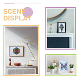 Silunkia Adult Coloring Books Set 8.5 x 11 Inch - 4 Books Adult Animal Butterfly Bird Mandala Design, Coloring Books for Adults to Relax and Relieve Anxiety - Top Spiral Binding is Easier to Use