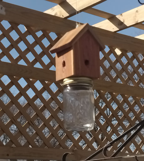 Amish-Made Rustic Carpenter bee Trap WoodArtSupply