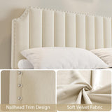 GarveeHome King Size Velvet Bed Frame, 50.2 in Tall Headboard & Footboard, Upholstered Platform King Bed Frame with Nailhead Trim, No Box Spring Needed, Noise Free, Solid Wooden Slats, Beige GarveeHome