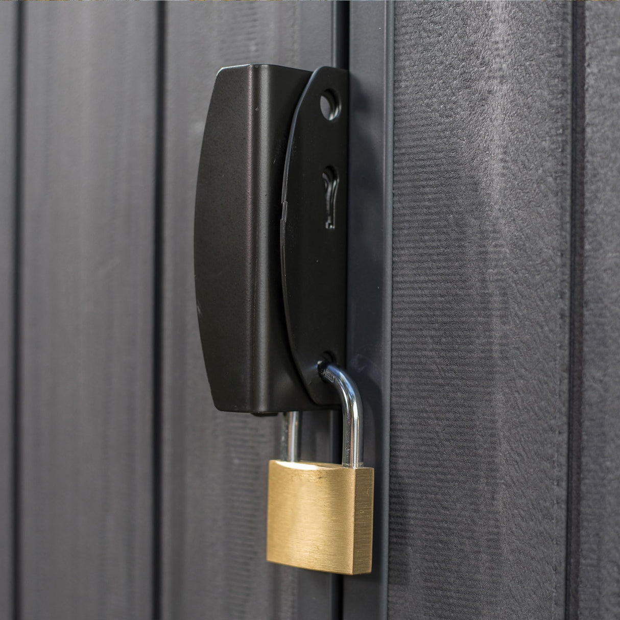 Keter Darwin 4 Ft x 6 Ft Outdoor Garden Tool Storage Shed Durable Resin Organizer with Window, Lockable Door and Built-in Ventilation, Graphite Gray Keter