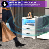 dnbss LED Nightstand with Wired/Wireless Charging Station, Night Stand with 24-Color RGB Lights, Modern Side Table, Smart Nightstands Bedside Table with Drawers for Bedroom, Wood White dnbss