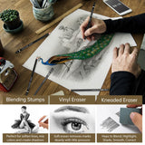 Drawing Sketching Pencil Set, 24 Piece Pro Artist Sketch Kit - Graphite Pencils (12B-4H),Charcoal Pencils for Drawing,Black and White Charcoal Pencils,Charcoal Sticks,Stumps,Eraser,Sharpeners GETHPEN