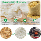AHSNYLC Nature Soy Wax Flakes - DIY Pure Candle Making Soy Wax,Soy Wax Bulk, DIY Soy Candle Wax,Candle Making Soy Wax for Container Candles,Cup Wax,DIY Candle (420, Grams) AHSNYLC