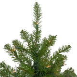 Pre-Lit Full Northern Pine Commercial Artificial Christmas Tree - 16' - Clear Lights Northlight