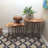 GREENAGE Cedar Roots Naturally Shaped Small Stool Side Table 12" x 13.5" x 17.4" in Height Natural Wood Live Edge End Table for Living Room Home Decor Wooden Plant Stand GREENAGE