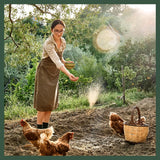 Sassafras & Pumpernickel Certified USDA Organic Chicken Nesting Herbs (16 oz, 1 Pound Bulk Bag) Aromatic Herbs for Coops and Nest Boxes, Nesting Herbs for Chicken coop, coop Refresher for Chickens Sassafras & Pumpernickel