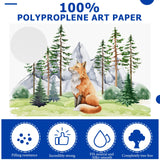 Sherr 300 Sheets 3 Sizes Painting Paper 90 lb/ 160 GSM White Artist Drawing Writing Paper for Kids Students Painting Beginners Artists Drawing Sketch, 5 x 7, 6 x 9, 9 x 12(Watercolor) Sherr