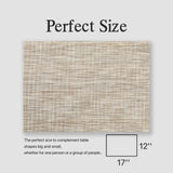 Placemats Set of 4 - Easy Clean Woven Vinyl Placemats for Dining Table, Indoor/Outdoor Place Mats, Washable PVC Table Mats（Caramel） onebento
